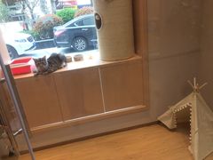 -Pets First伊珊娜洗护·精致美容·家庭式寄养(新会路店)