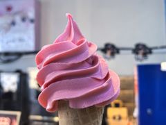 -萨朗刀克冰淇淋雪花凉(植物园店)