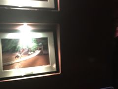 -花马天堂云南餐厅 Lost Heaven(外滩店)