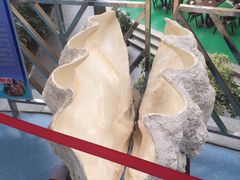 -北国之春国宴(乌兰察布店)