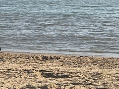 -白城沙滩