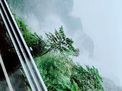 -江南天池高山汤泉城