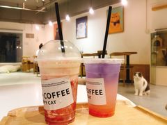-Heymao猫咖.咖啡厅(东门店)