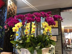 -佛山顺德香云纱园林酒店(清晖园店)