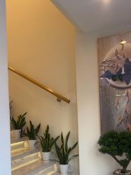 -海涛医疗美容·面部抗衰·注射美鼻