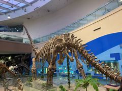 -陕西自然博物馆