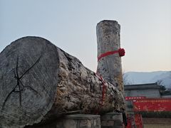 -北京凤凰岭