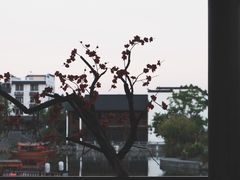 -梅城古镇