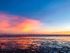 -宝安西湾红树林湿地公园