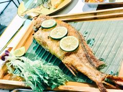 -花样西贡·蜜越餐厅·法式越南料理(水晶城店)
