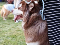 -上海神旺大酒店