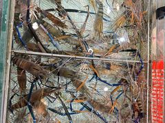 -万龙洲海鲜(大兴绿地缤纷城店)