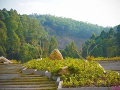 -火炉山森林公园