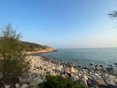 -广东惠东海龟国家级自然保护区