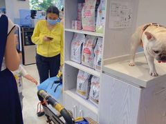-纳吉亚猫专科动物医院·北北分院