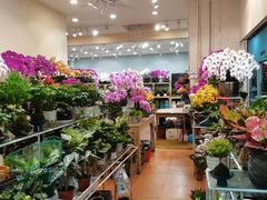 -双季花艺园艺市场(浦东店)