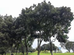 -重庆中央公园(渝北区)