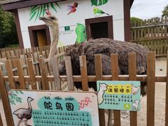 -太阳岛度假酒店