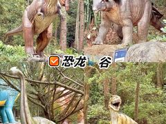 -佛冈森波拉度假区