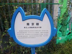 -南京眼步行桥