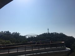 -金鸡山公园