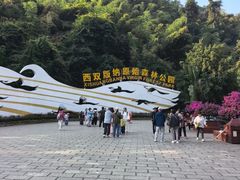 -西双版纳原始森林公园