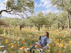 -名花谷生态庄园