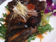 煮碟鱼头-自由之丘