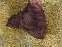 -盒马鲜生(曜一城店)