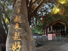 -仓山金山寺