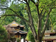 -岳麓山风景名胜区