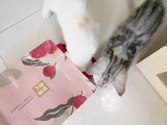 -奈雪的茶(漫广场店)