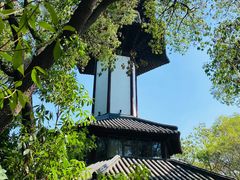 -上海佘山国家森林公园天马山园