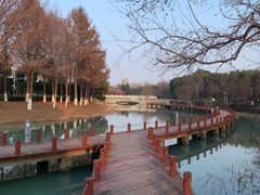 -苏州东太湖生态园
