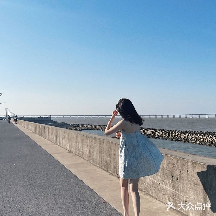 上海拍照 🛻 长兴岛丁坝《悲伤逆流成河》取景地