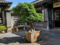 -朱家花园