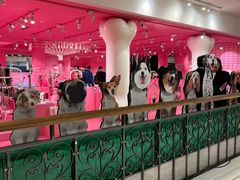 -乐蓬马歇百货公司(Rive Gauche)