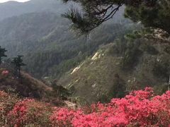 -木兰云雾山