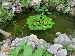 -美味之家·湖景农家乐(太湖东山店)