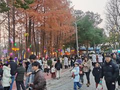 -武汉园博园(武汉自然博物馆)