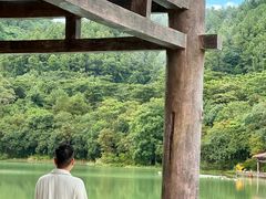 -广州白江湖森林公园