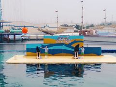 -秦皇岛乐岛海洋王国