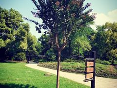 -上海共青森林公园