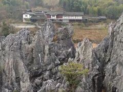 -千岛湖石林
