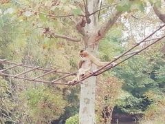 -上海野生动物园老虎餐厅