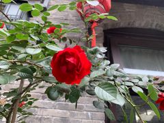 -回龙窝历史文化街区