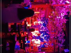 -周庄红庭演艺酒吧