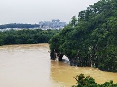 -璟象酒店-爱丽坊景观餐厅