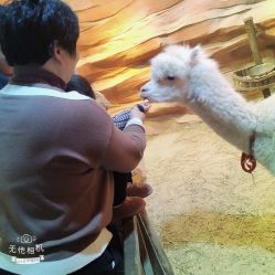 -酷嗒动物文化乐园(cutezoo西溪乐天城店)