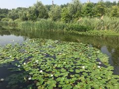 -贵阳市花溪国家城市湿地公园